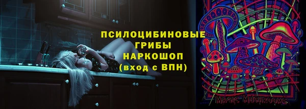 ПСИЛОЦИБИНОВЫЕ ГРИБЫ Костерёво