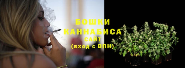 apvp Козельск
