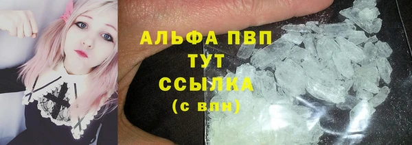 apvp Козельск