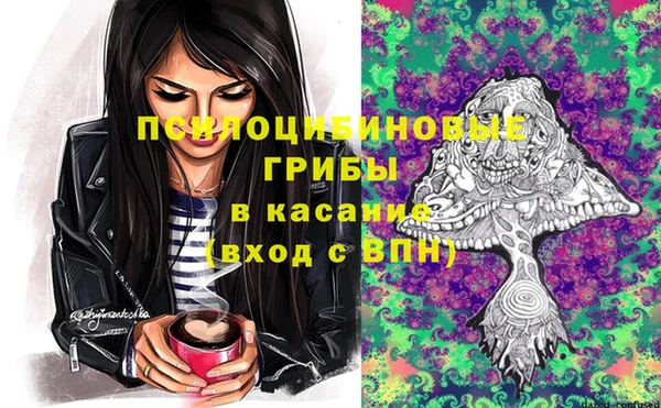 бутират Козловка